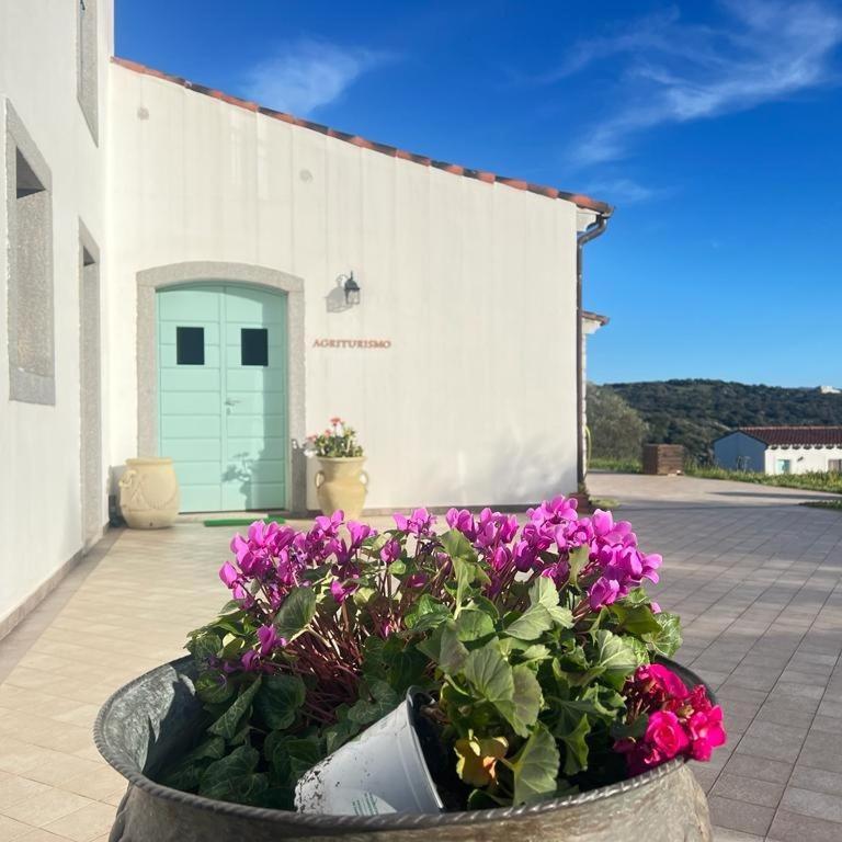 Tenute Testoni Agriturismo E B&B Bassacutena Exterior photo